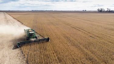 USDA redujo la proyección de soja en Argentina