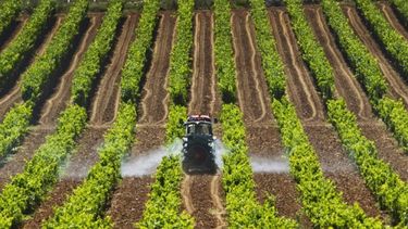 FAO y OCDE se alinean para impulsar la agricultura regional tecnificada