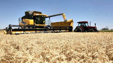 Piden cambios estructurales para estimular la agroindustria