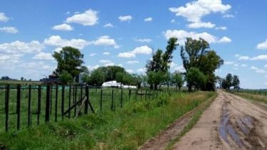 Saldo positivo para los inmuebles rurales en lo que va del año