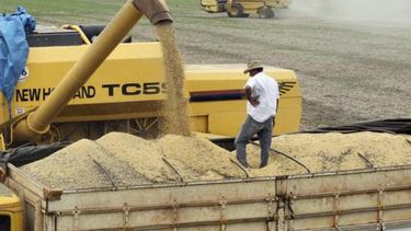 Advierten que el sector agropecuario sufre una pérdida de competitividad muy profunda