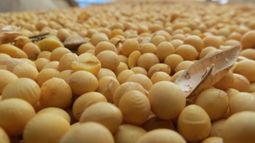 Agroexporadores compraron 14,7 millones de toneladas de granos