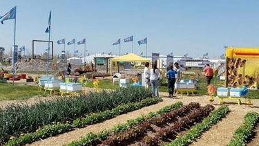 Comienza la semana del agro