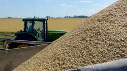 Senasa capacitó a más de 1.300 profesionales para exportar a EE.UU.