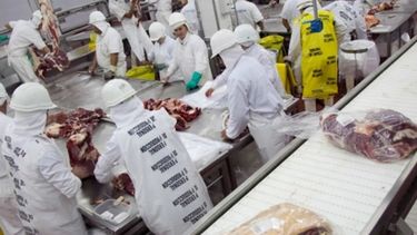 La producción cárnica de cerdos subió más de 19% en enero