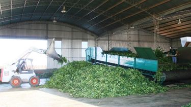 Descontento con el nuevo precio máximo para la yerba mate