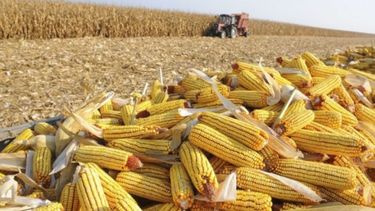 Calculan que los ingresos por agroexportaciones alcanzarán los US$ 27.217 millones en 2021