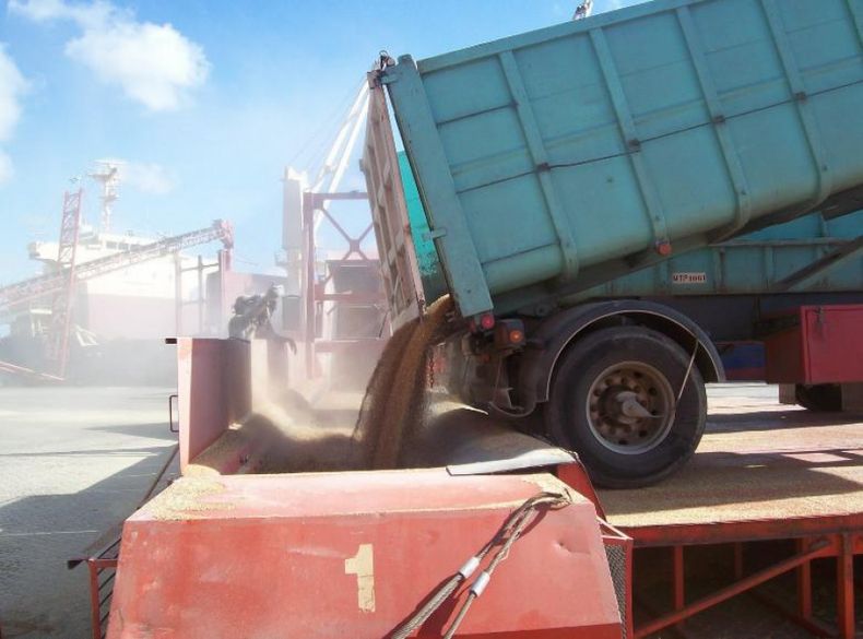 El Gobierno estableció un fideicomiso para productores de trigo
