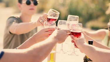 Diseñan una campaña de promoción del vino argentino para millennials estadounidenses