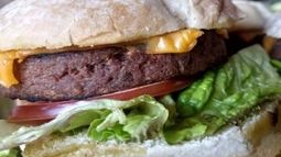 Argentina ya tiene su primera hamburguesa vegetal