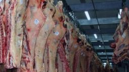 La faena de bovinos subió casi un 4% durante agosto