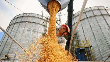 En diciembre de 2023 se registró el peor ingreso de divisas en 18 años, con US$1.246 millones.&nbsp;