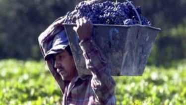 Coninagro sale en auxilio de los pequeños productores