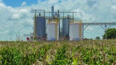 Decretarán la continuidad de la ley de Biocombustibles