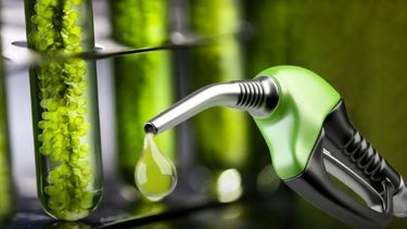 Nueva alza en los precios de los biocombustibles