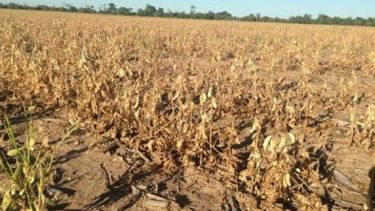 Los productores rurales del NOA están en un punto límite