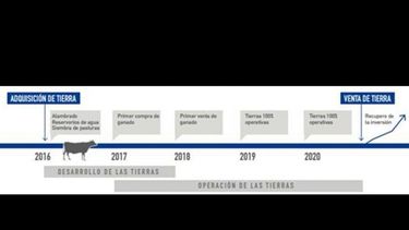 Paraguay, en la cima de las inversiones agropecuarias