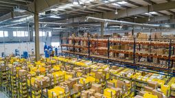 La influencia del gigante del e-commerce en la región.