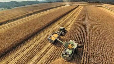 El campo brasileño tuvo su segundo mejor resultado en 34 años