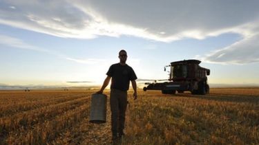 Puntos altos y bajos del agro en 2016