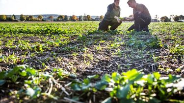Las nuevas tecnologías aplicadas al agro, orientadas a reducir el impacto ambiental.