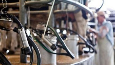 Empiezan a llegar subsidios a productores lecheros