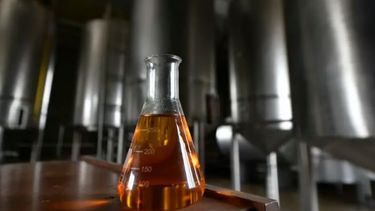 Confirman alzas escalonadas para el biodiesel hasta agosto