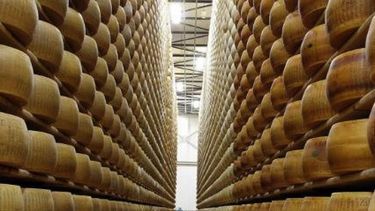 La exportación de lácteos creció más de 7% en el primer trimestre