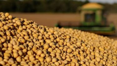 La comercialización de granos cayó un 9% en lo que va de agosto
