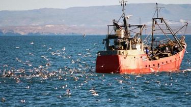 Definiciones en el régimen de pesca.