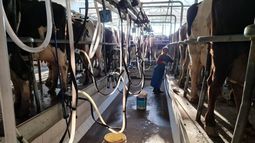 La actividad en los tambos argentinos.