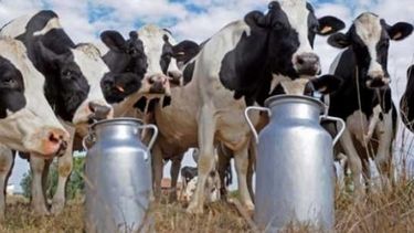 Se concreta mayor entrega de subsidios a productores lecheros