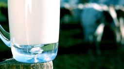 Leche: proyectan una suba de hasta 9 por ciento en góndolas