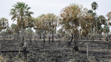 Formosa también entró en emergencia agropecuaria