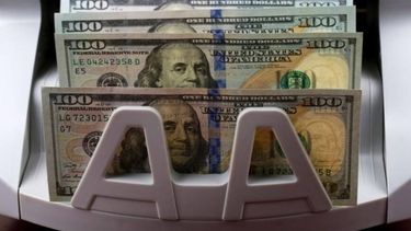 Confundir suerte con sabiduría es el error más caro. Confundir suerte con sabiduría es el error más caro.