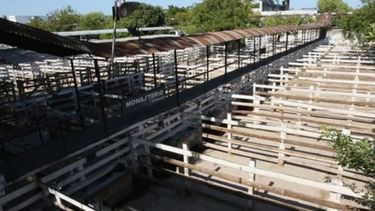 Arrancó el paro del campo con cese de comercialización