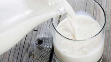 Nueva vida para los residuos de la industria láctea