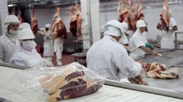 Más tiempo para adaptarse al nuevo sistema de troceo cárnico