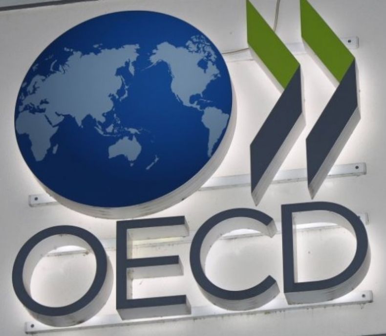El Gobierno espera que el 18 de mayo Argentina sea aceptada en la OCDE