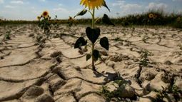 El mundo subestima el costo económico del cambio climático