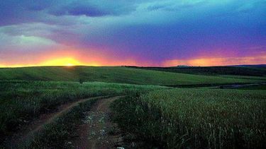 El campo no debería esperar mucho de la próxima Santa Rosa