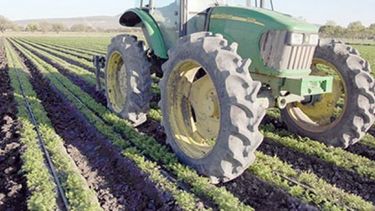 El agro salteño tendría una presión tributaria de hasta el 81% en 2017
