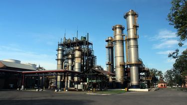 El desarrollo de la industria especializada en biocombustibles.