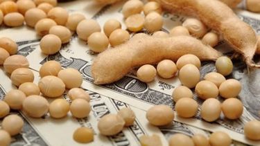 Los dólares de la soja vuelven a tomar protagonismo