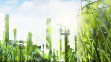 La bioeconomía como alternativa clave para el desarrollo regional