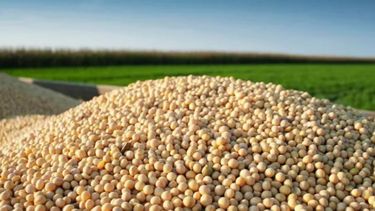 La soja llegó a niveles mínimos en casi dos décadas