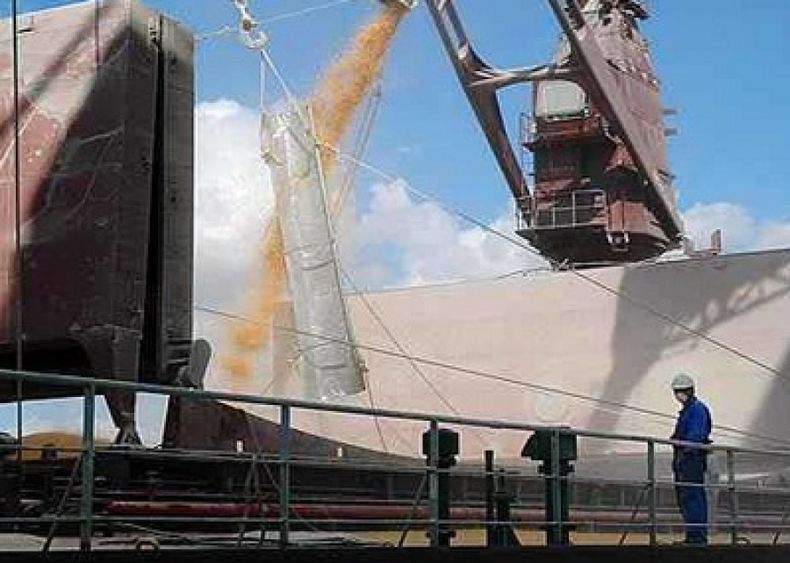 AFIP investiga evasión de agroexportadora por 40 millones de pesos