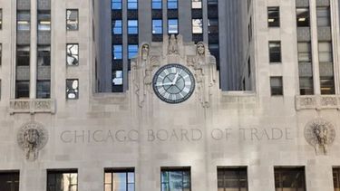 La soja cayó más de 43 dólares en Chicago