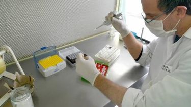 Anuncian que se podrá comercializar cultivos biotecnológicos nacionales