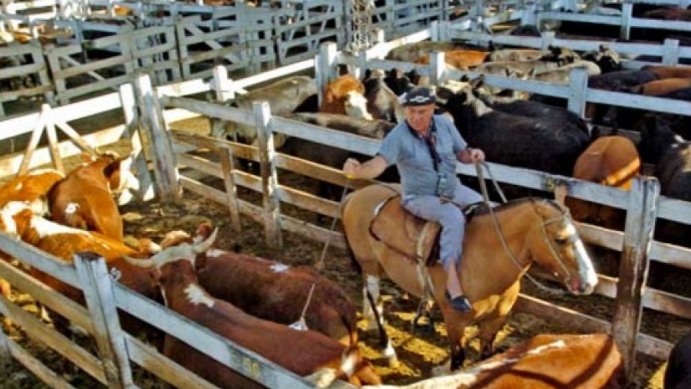 En marzo empieza a regir el comprobante electrónico para la compraventa de carne